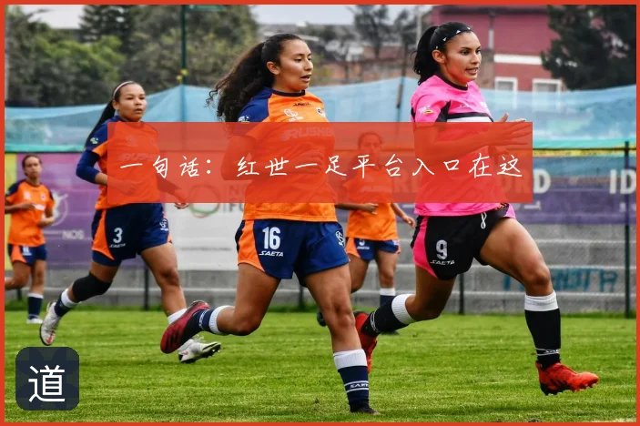 一句话：红世一足平台入口在这